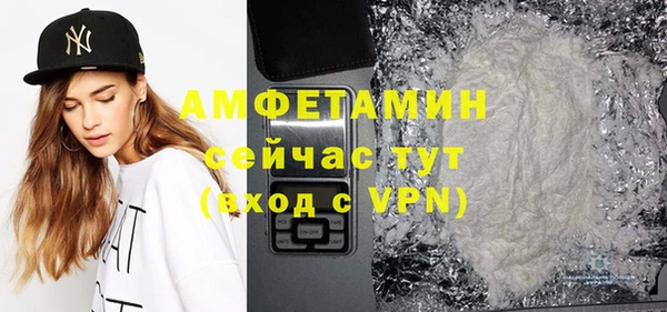 крисы Алексин