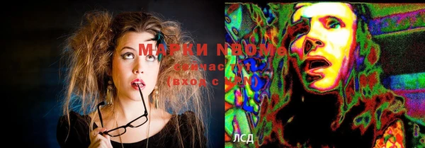 крисы Алексин