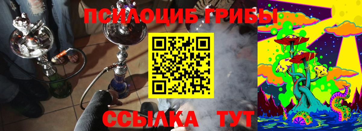 Псилоцибиновые грибы Psilocybe Апатиты